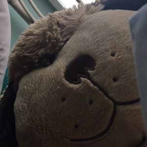 Meet your Posher, Morgan